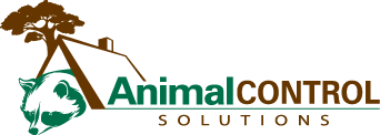 Animal Control Solutions Wildlife Removal